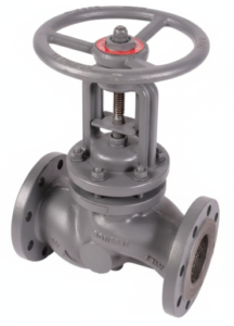 Piston Valves