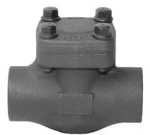 Threaded Cast Iron Check Valves