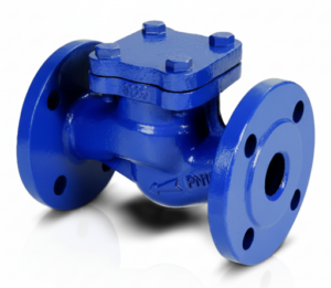 Lift Check Valves