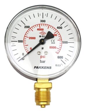 PAKKENS Bottom Connection Pressure Gauge Ø100 mm 600 Bar 1/2''