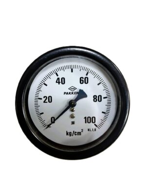 Pakkens Back Connection Panel Type Pressure Gauge Ø100 - 100 Bar CL1.0