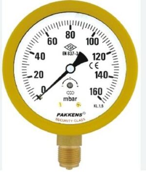 PAKKENS Bottom Connection Glycerin Filled Capsule Diaphragm Pressure Gauge Ø100