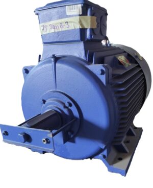 DEG DRIVE Electric Motor 75 kW 2975 rpm IE2