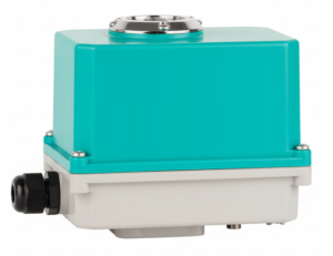 DMS Electric Actuator 30Nm 220V AC