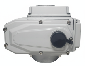 DMS Electric Actuator 100Nm 220V AC
