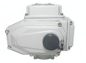 DMS Electric Actuator 50Nm 24V DC
