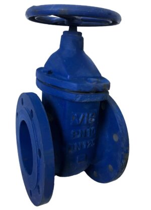 VİS Gate Valve Dn125 Pn10
