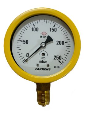 PAKKENS Bottom Connection Capsule Diaphragm Pressure Gauge Ø100 mm 250 mBar 1/2"