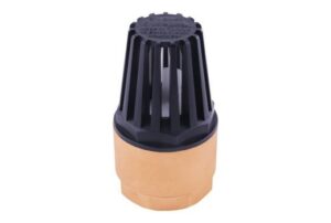 KLEPSAN Full Bore Spring Disc Check Valve 4"