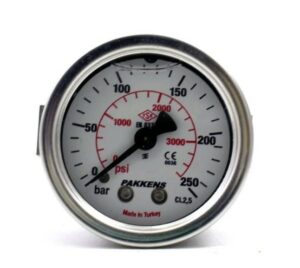 Pakkens Back Connection Glycerin-Filled Pressure Gauge 100 mm 250 Bar