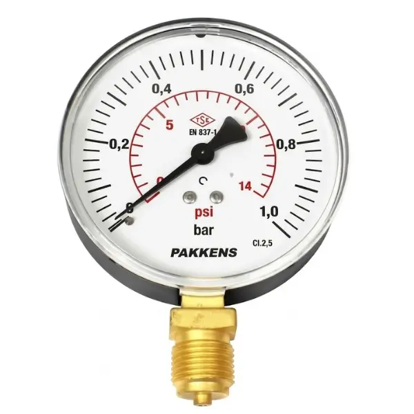 PAKKENS Bottom Connection Pressure Gauge Ø100 mm 1 Bar CL 2.5 1/2"