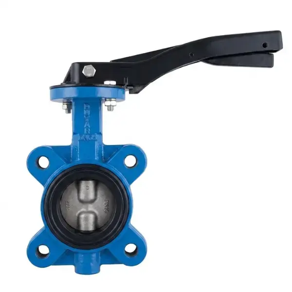 Stainless Steel Disc Butterfly Valve Lug Type DN65 PN16