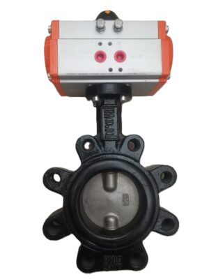 PROVAL Lug Type DN80 Pneumatic Actuated Butterfly Valve