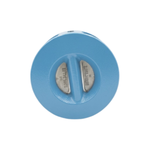 Double Disc Check Valve DN50