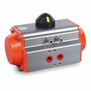 DMS SA52 Single Acting Pneumatic Actuator
