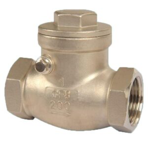 AYVAZ SC-201 Stainless Steel Swing Check Valve 1 1/4'' PN16