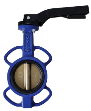 DN 100 Industrial Valve and Fitting