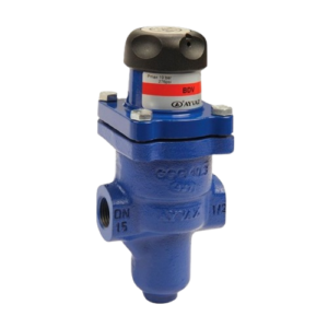 AYVAZ BDV-25 Pressure Reducing Valve PN25 1/2"