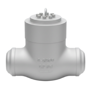 AYVAZ CSCV-20 Swing Check Valve Class 600 10"