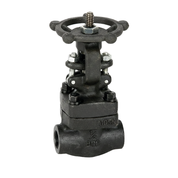 AYVAZ FGAV-20 Gate Valve API 602 1 1/2" Class 1500
