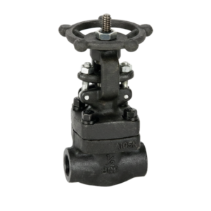 AYVAZ FGAV-20 Gate Valve API 602 1/2"