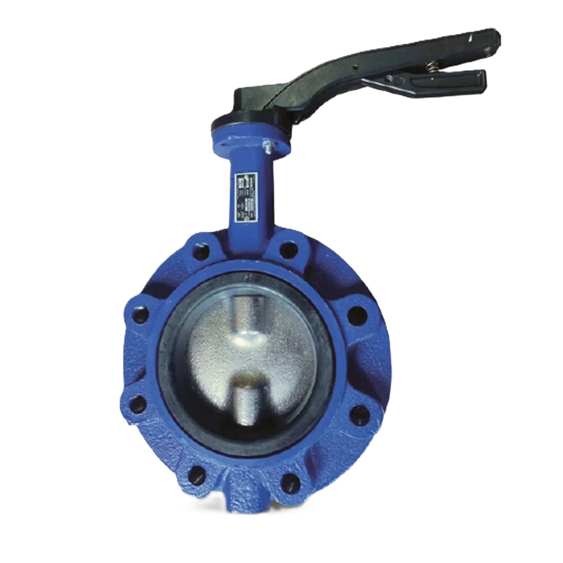 AYVAZ KV-80 Nickel Disc Lug Type Butterfly Valve PN16 DN125
