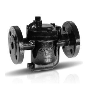Ayvaz BT-16 8.5 Bar Inverted Bucket Steam Trap PN16 DN20