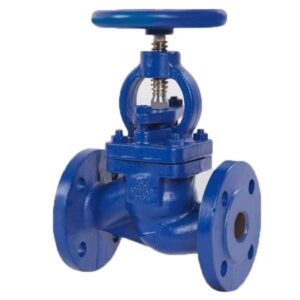 AYVAZ GV-16K Globe Valve DN15 PN16