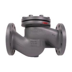 VALFTEK Lift Type Check Valve DN100 PN16