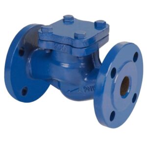 AYVAZ CLV-50 Flanged Lift Type Check Valve DN150