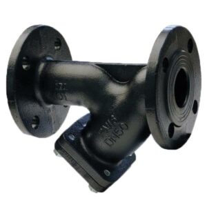 AYVAZ PTY-40 Strainer DN80 PN16