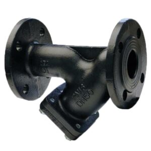 AYVAZ PTY-40 Strainer DN50 PN16