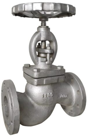 Globe Valve DN80 PN40 GGG40