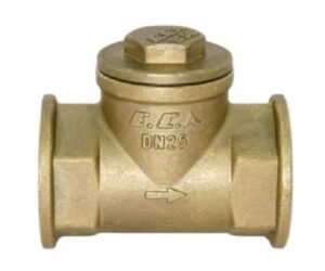 ECA Brass Horizontal Check Valve 2" PN25
