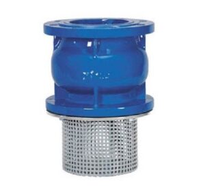 KLEPSAN Foot Valve Cast Iron DN80 PN16