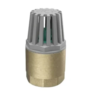 KLEPSAN Spring-Loaded Foot Valve 1'' PN16
