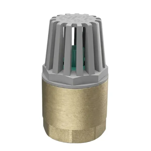 KLEPSAN Spring-Loaded Foot Valve 1'' PN16