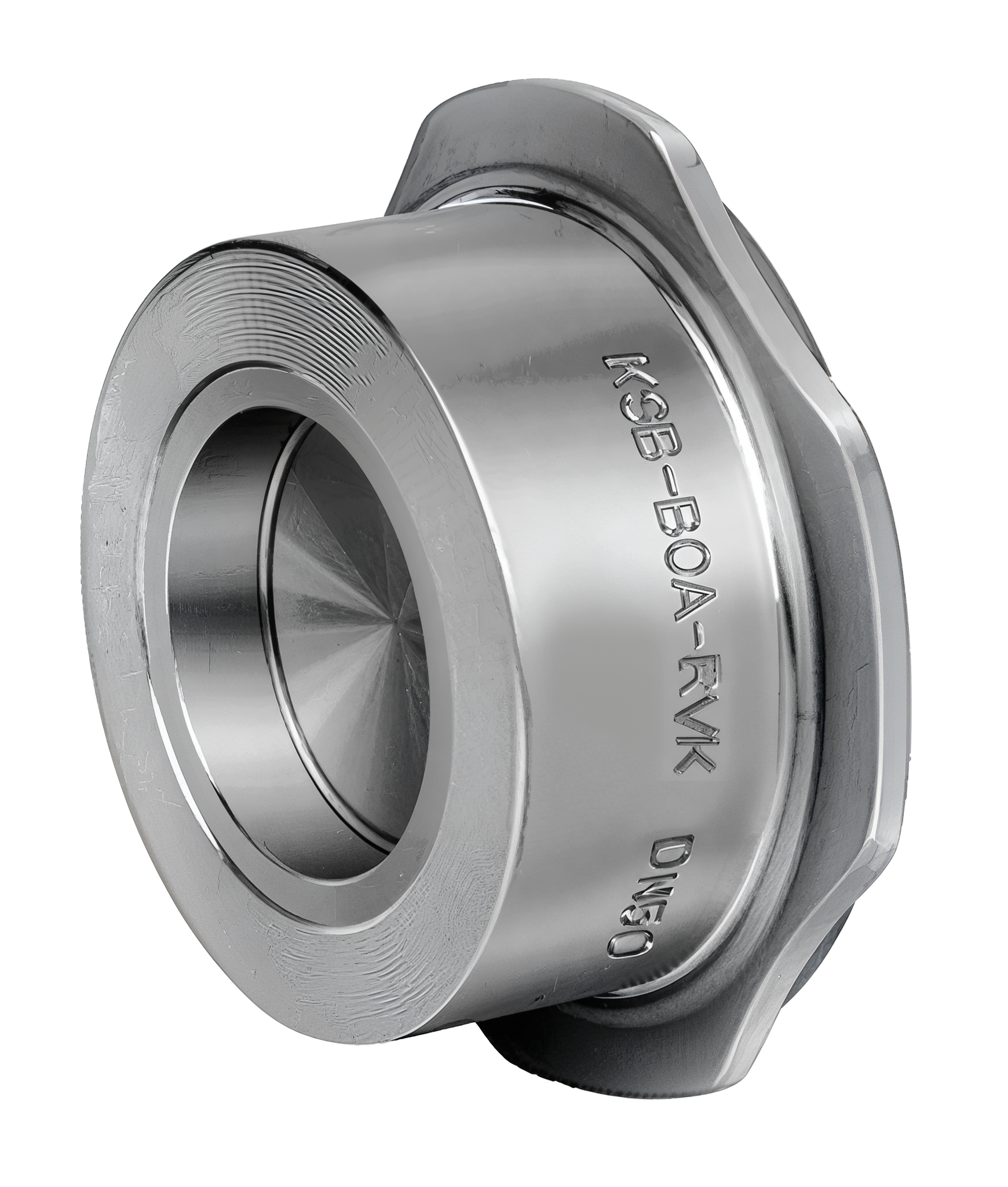 KSB BOA-RVK Stainless Steel Disc Check Valve PN40 DN25