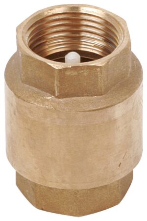 Brass Spring Check Valve 4" PN16