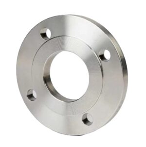 Stainless Steel Flat Flange AISI 304 DN20 PN16