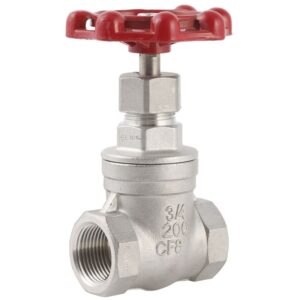 Stainless Steel Gate Valve AISI 304 1/2" PN16