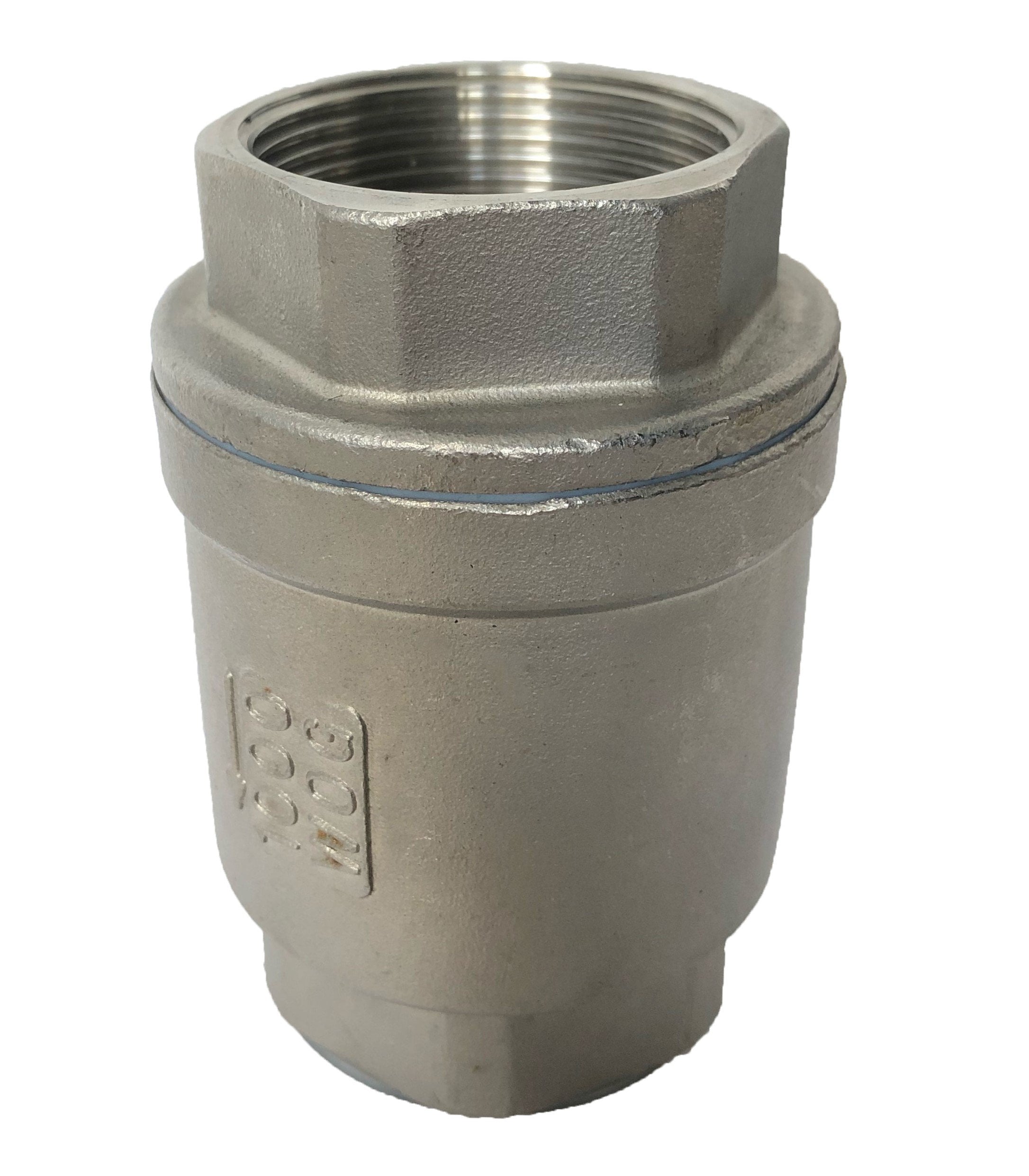 Stainless Steel Spring Check Valve AISI 304 2 1/2"