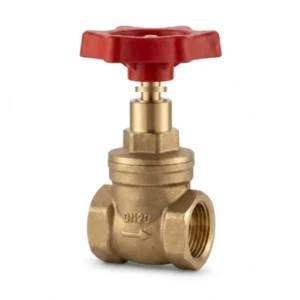 TÜM PRES Gate Valve 1/2" PN25