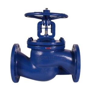 VALFTEK Metal Bellows Valve DN25 PN25