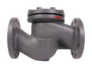 VALFTEK Lift Type Check Valve DN150 PN16