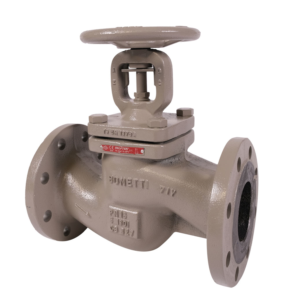 VALFTEK Globe Valve DN32 PN16