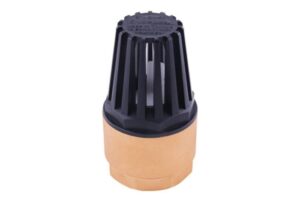KLEPSAN Spring-Loaded Foot Valve 2 1/2"