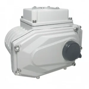 DMS Electric Actuator 50Nm 220V AC