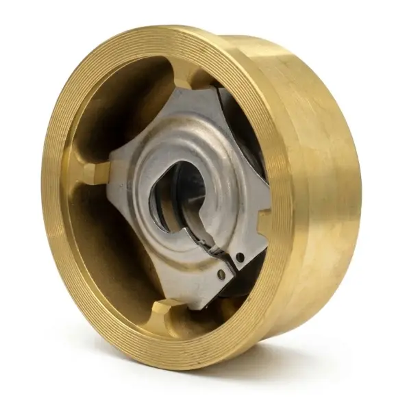 AYVAZ CV-10/P Brass Disco Check Valve AISI 316 with Disc PN16 DN100