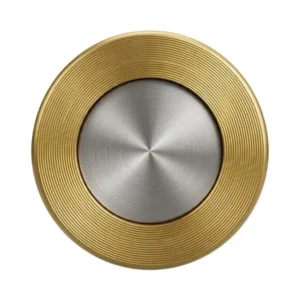 AYVAZ ÇV-10/P Brass Disco Check Valve AISI 316 with Disc PN16 DN100